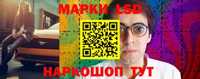 Альфа ПВП Камышлов