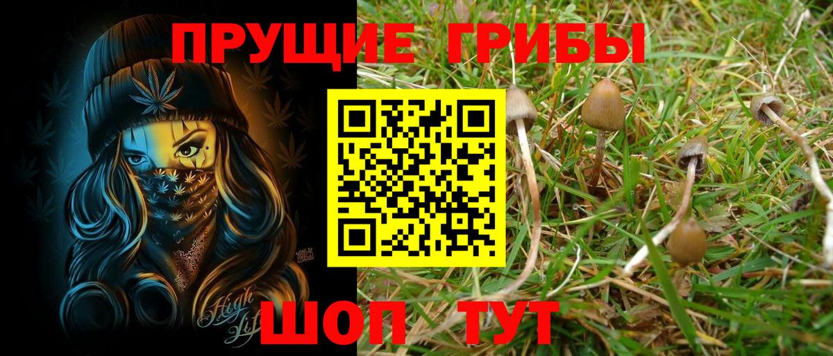 купить наркоту  Галлюциногенные грибы ЛСД  Псилоцибиновые грибы Cubensis  Вход с VPN  Лысьва 