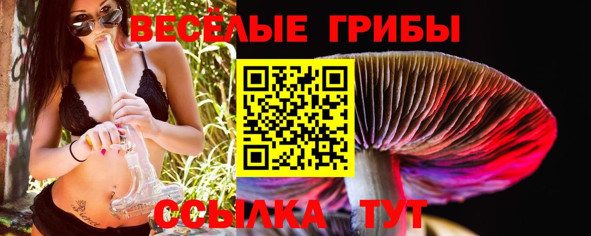 Галлюциногенные грибы Psilocybine cubensis Лысьва